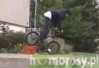 BMX - Steven Hamilton